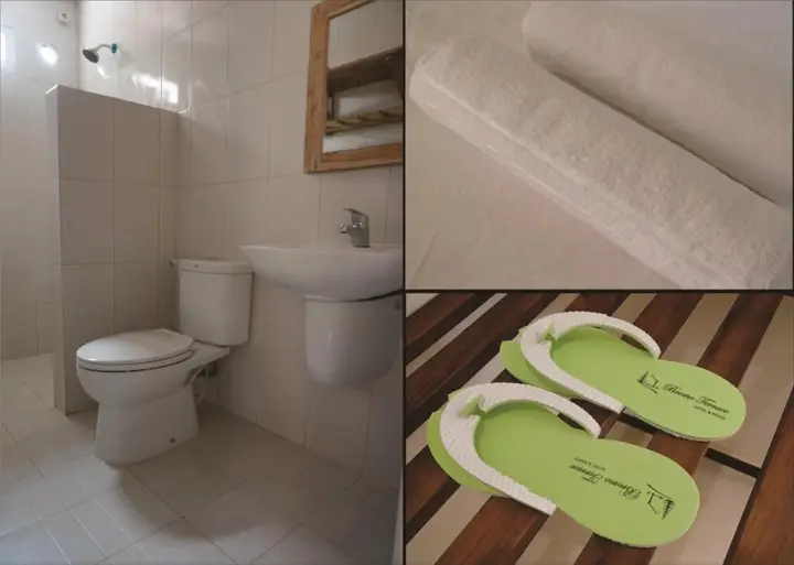 Надисари: Bromo Terrace Hotel