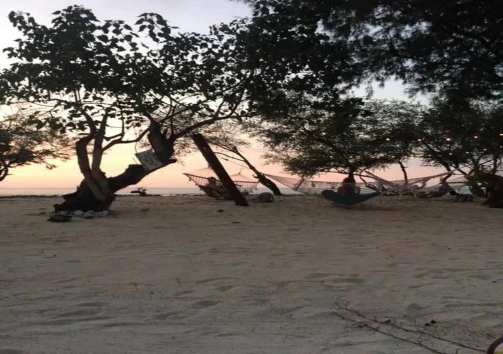 Гили Траванган: Gili Turtle Beach Resort