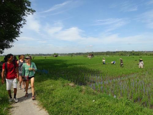 Убуд: Bali Camping Ubud Camp