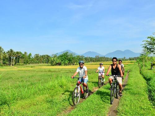 Убуд: Bali Camping Ubud Camp