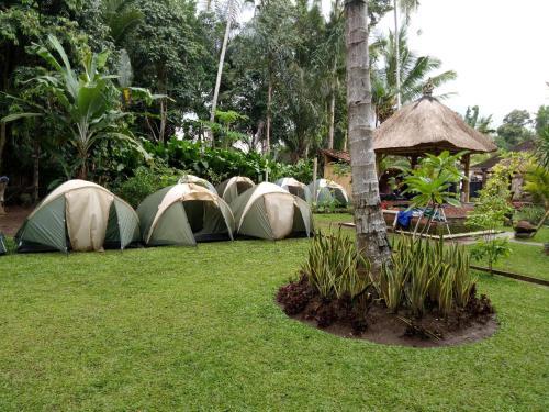 Убуд: Bali Camping Ubud Camp