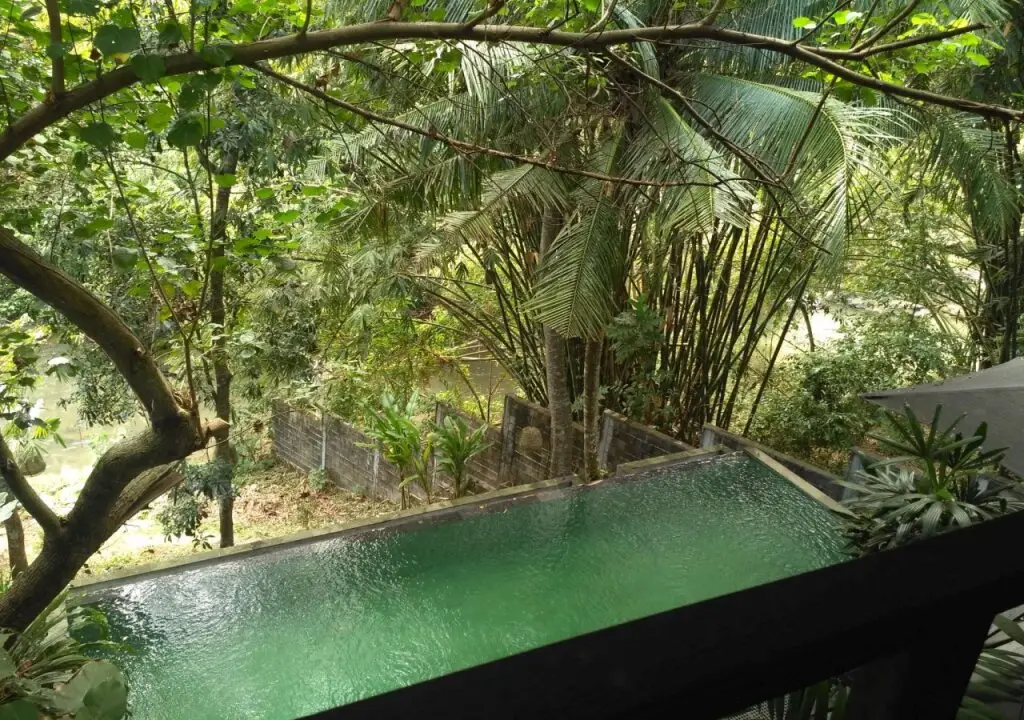 Чангу: Treetop Waterfall