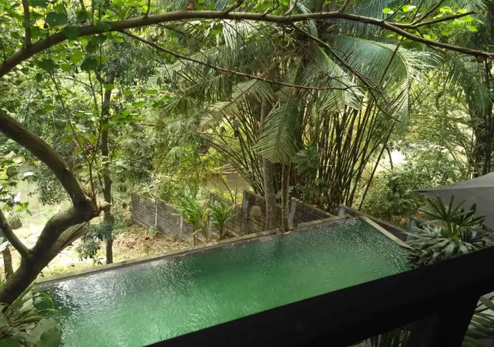 Чангу: Treetop Waterfall
