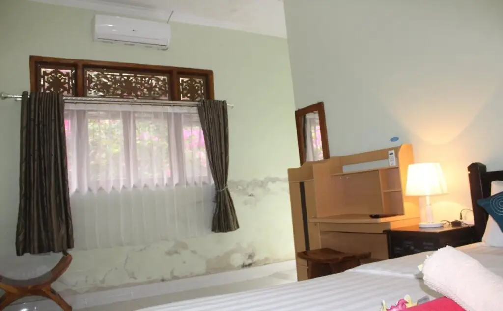 Пенида: Green Palm Homestay