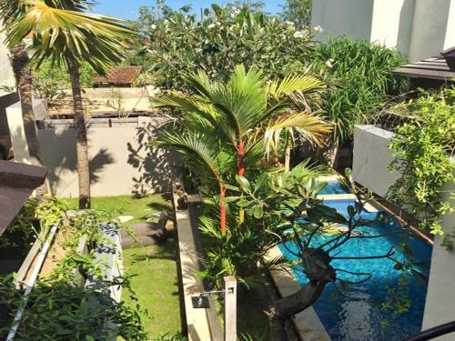Чангу: Exotica Bali Bed and Breakfast