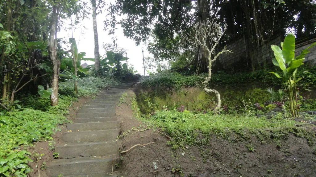 Убуд: Uma Bian Guest House Ubud