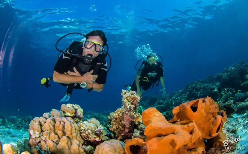 Тодзе Уна-Уна Регентство: Sifa Diving Resort
