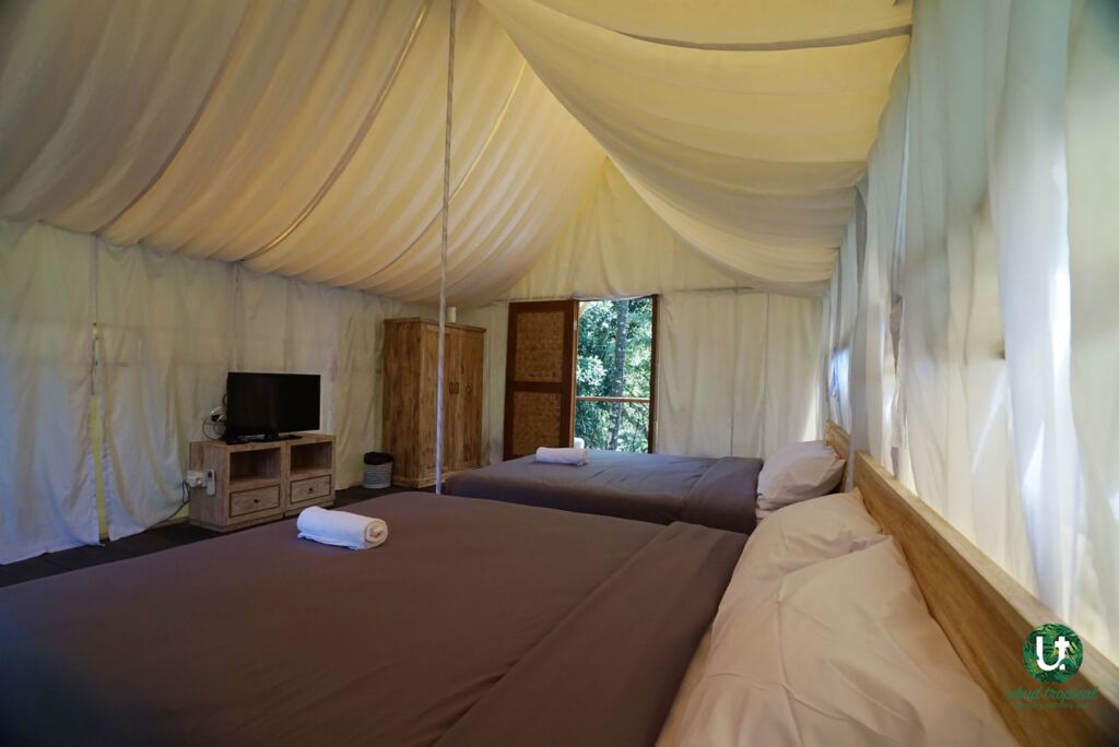 Убуд: Ubud Tropical - Hostel