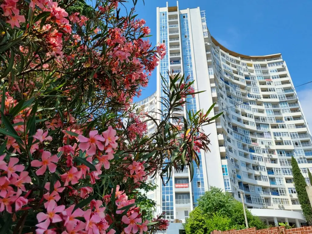 Сочи: Апартаменты ЖК Москва seaview nice bed