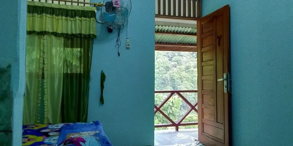 Батанг Серанган: Green Forest Tangkahan