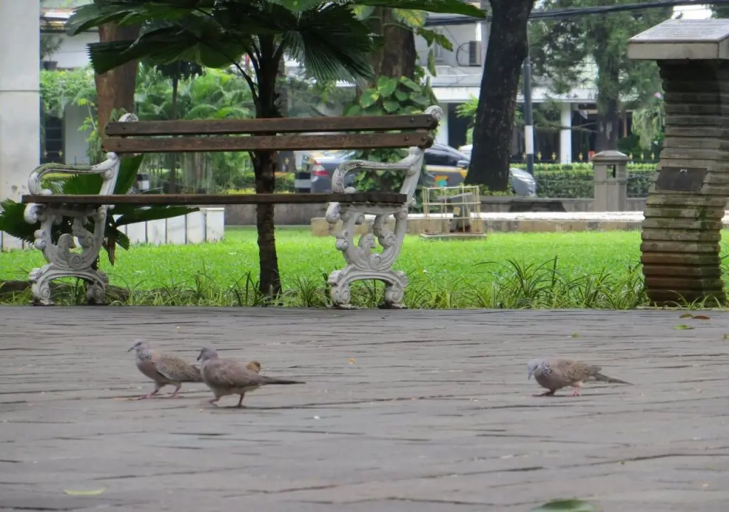Джакарта: OYO 135 Menteng Guest House
