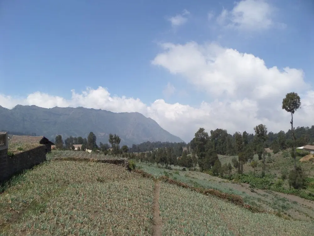 Надисари: Lawang Sari Homestay