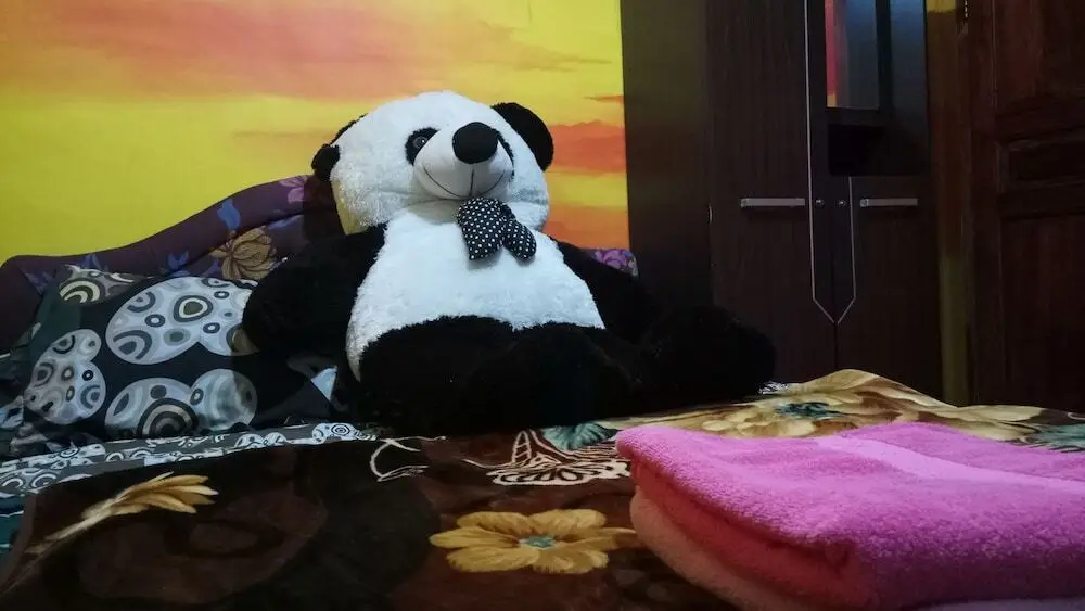 Диэнь Кулон: Homestay Anemon