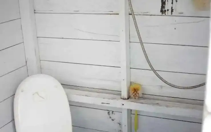 Кумаи Хилир: Houseboat Bee Kelotok