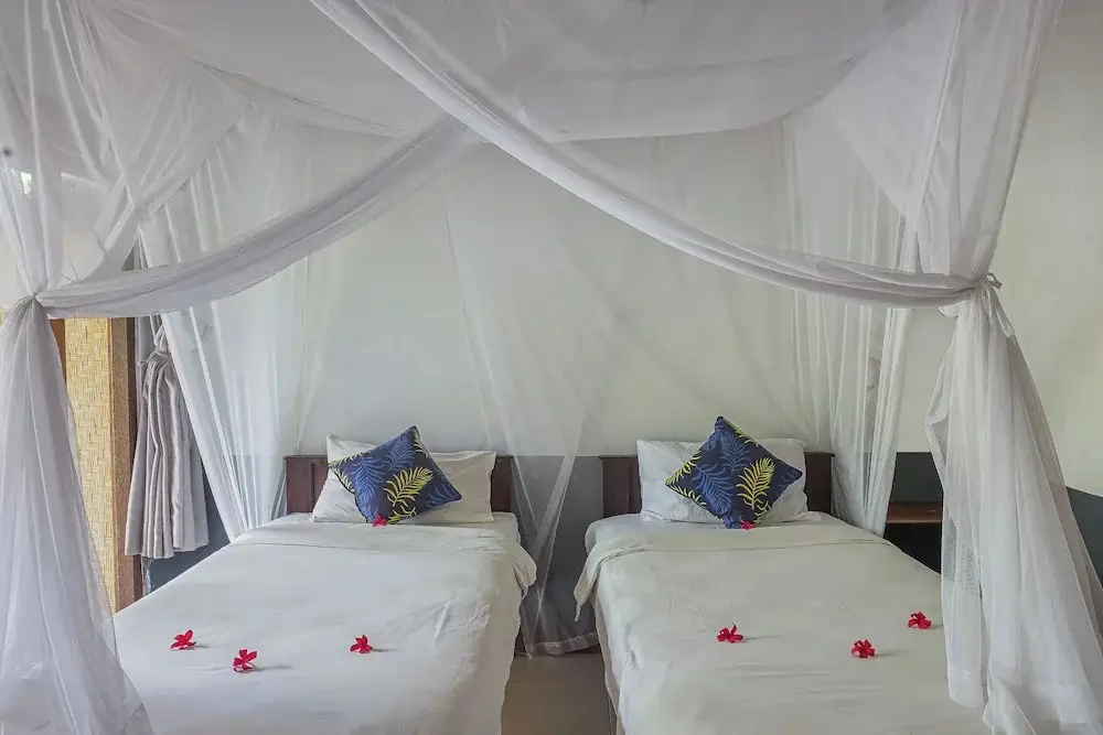 Педжаракан: Made Taro Menjangan Homestay