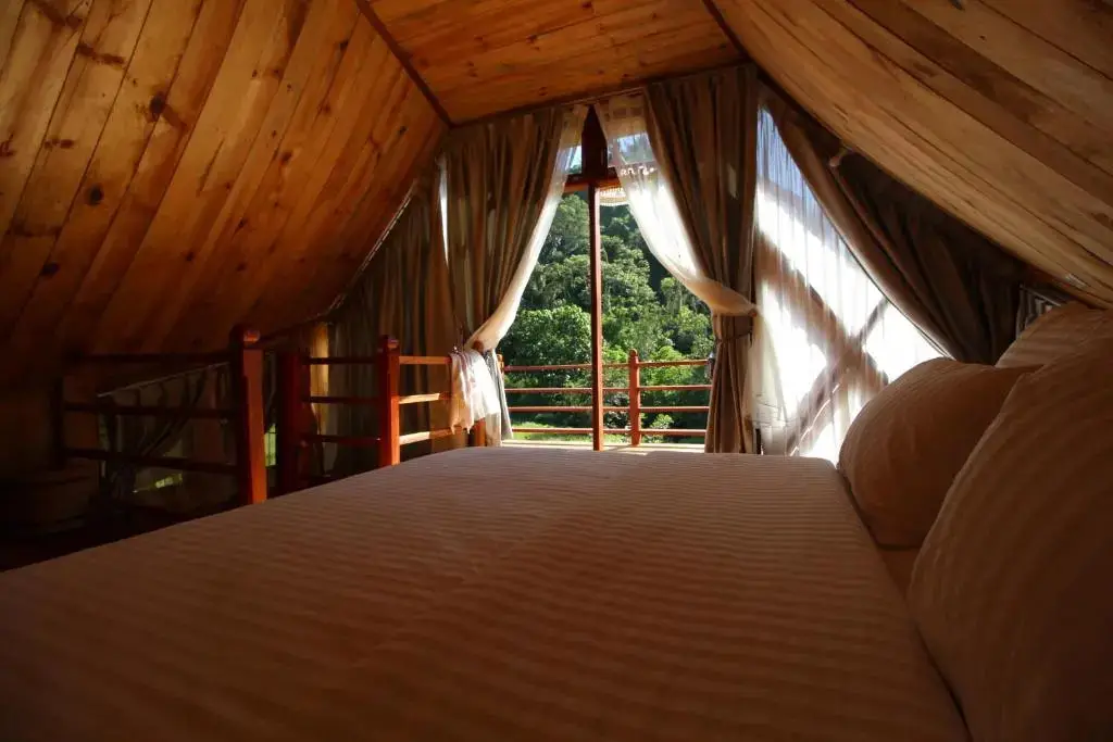 Букиттинги: Padi Ecolodge