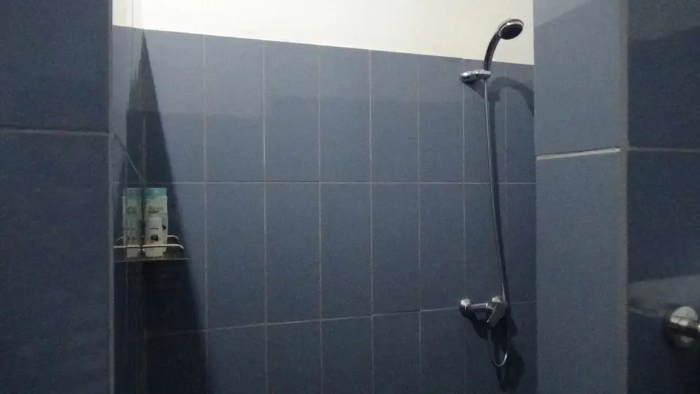 Саван: Lotus Guesthouse Sudaji