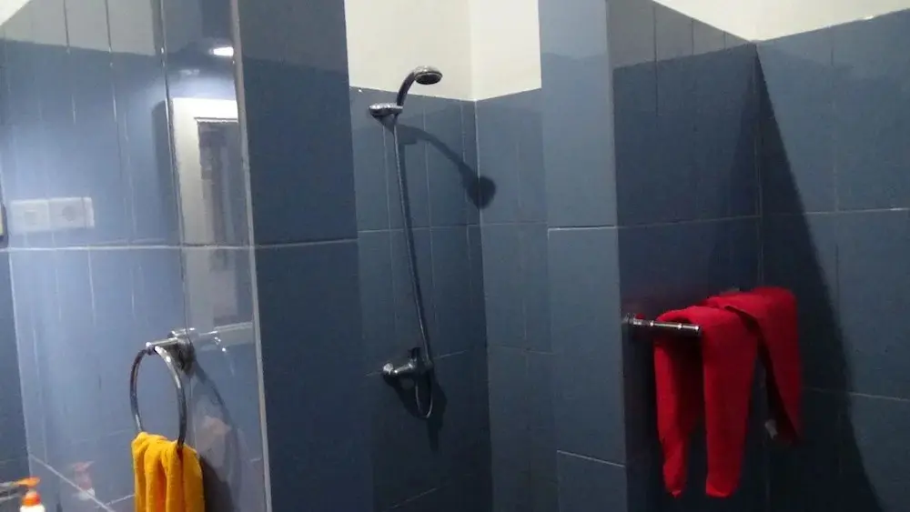 Саван: Lotus Guesthouse Sudaji