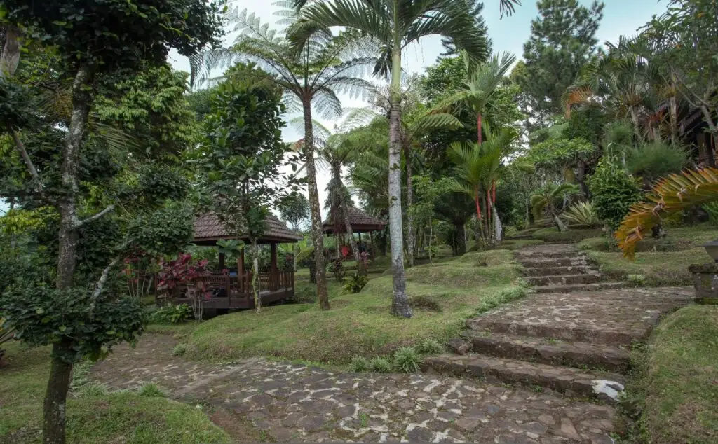 Остров Менджанган: RedDoorz near Wisata Kawah Ijen
