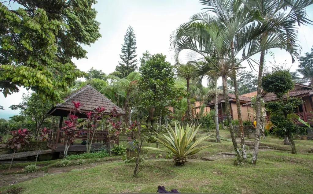 Остров Менджанган: RedDoorz near Wisata Kawah Ijen