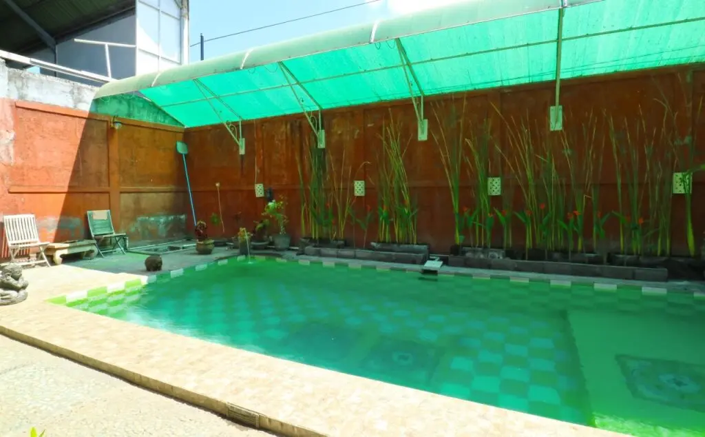 Денпасар: OYO 90363 Nira Guest House Sanur Bali