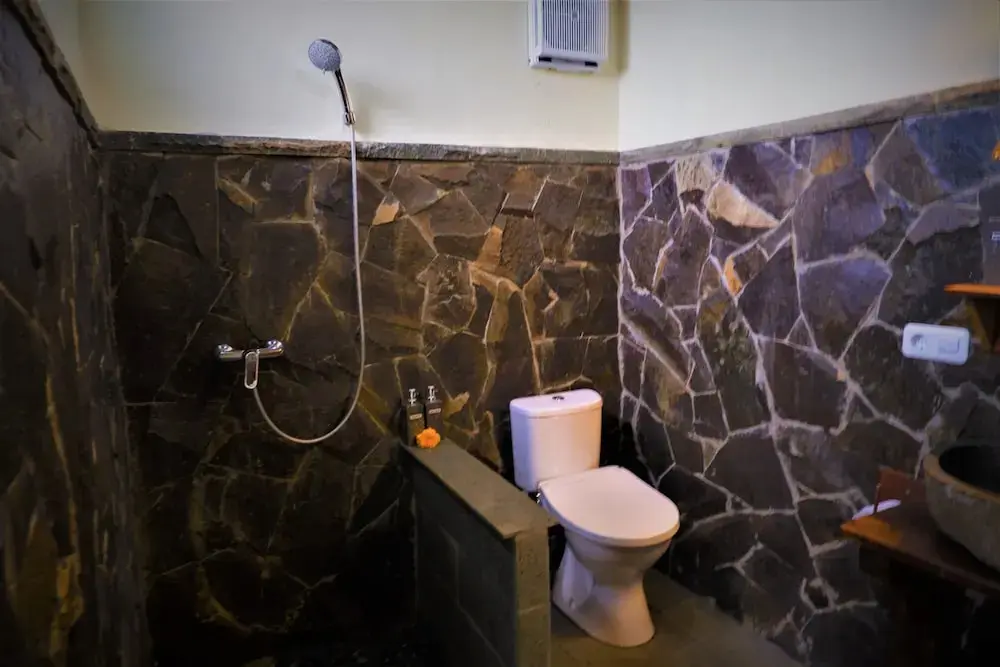 Умеаньяр: Swar Bali Lodge