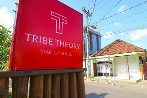 Tribe Theory - Startup House — фото 1