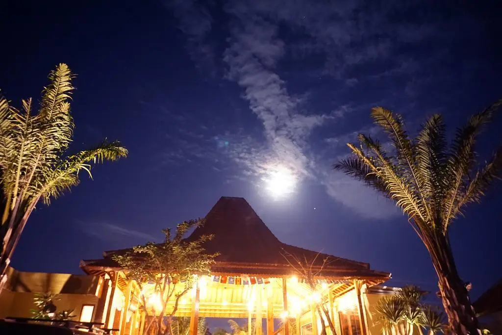 Унгасан: Ocho Bali Surf Camp