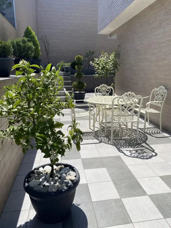 Сочи: Апартаменты Holiday and Business Apartments