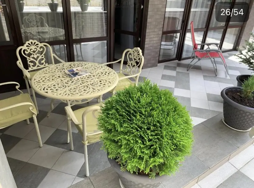 Сочи: Апартаменты Holiday and Business Apartments