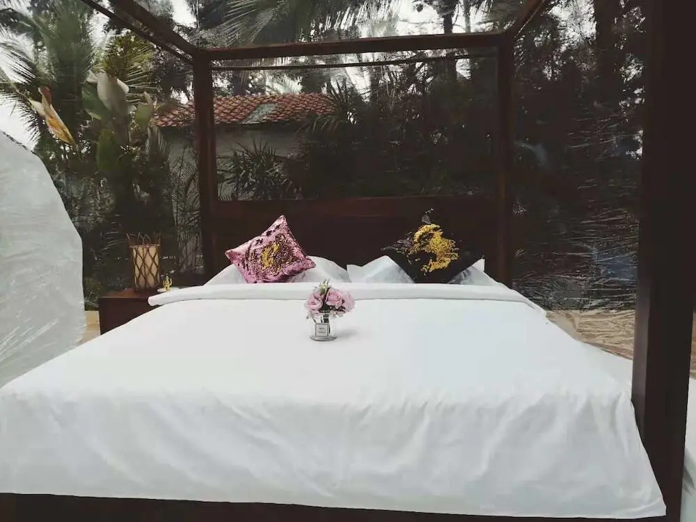 Паянган: Jungle Bubble Lodge Ubud - Campsite