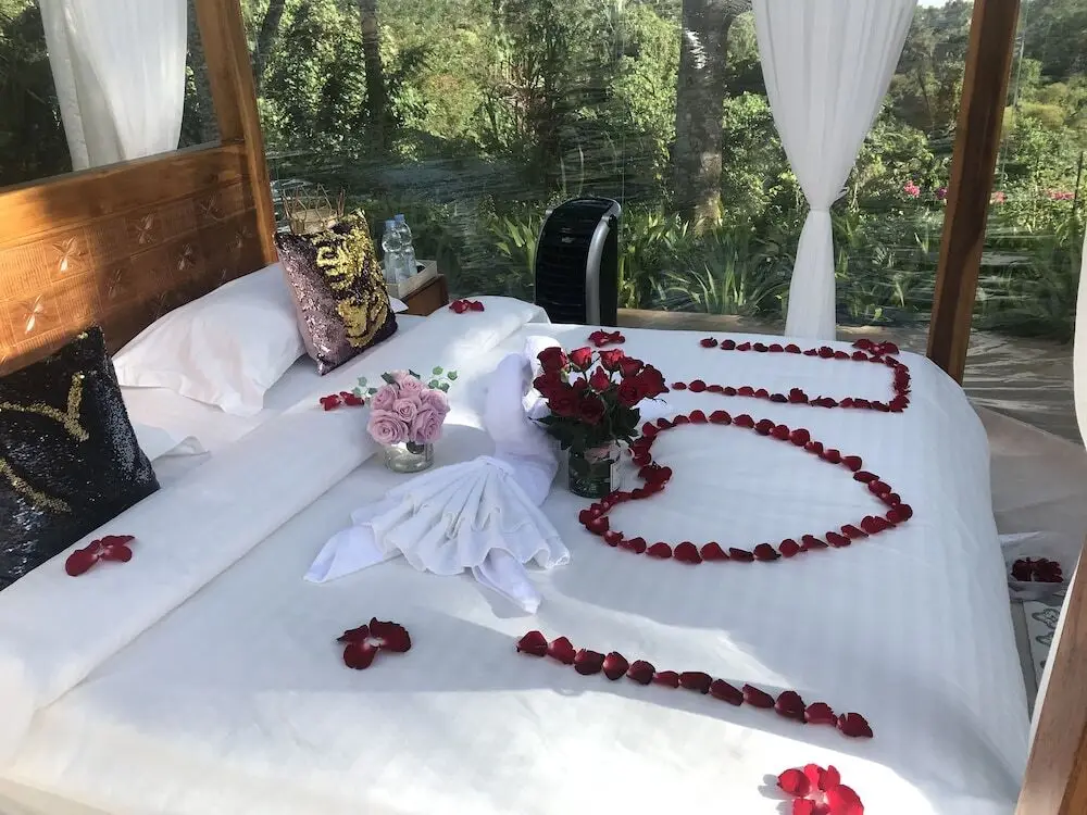 Паянган: Jungle Bubble Lodge Ubud - Campsite