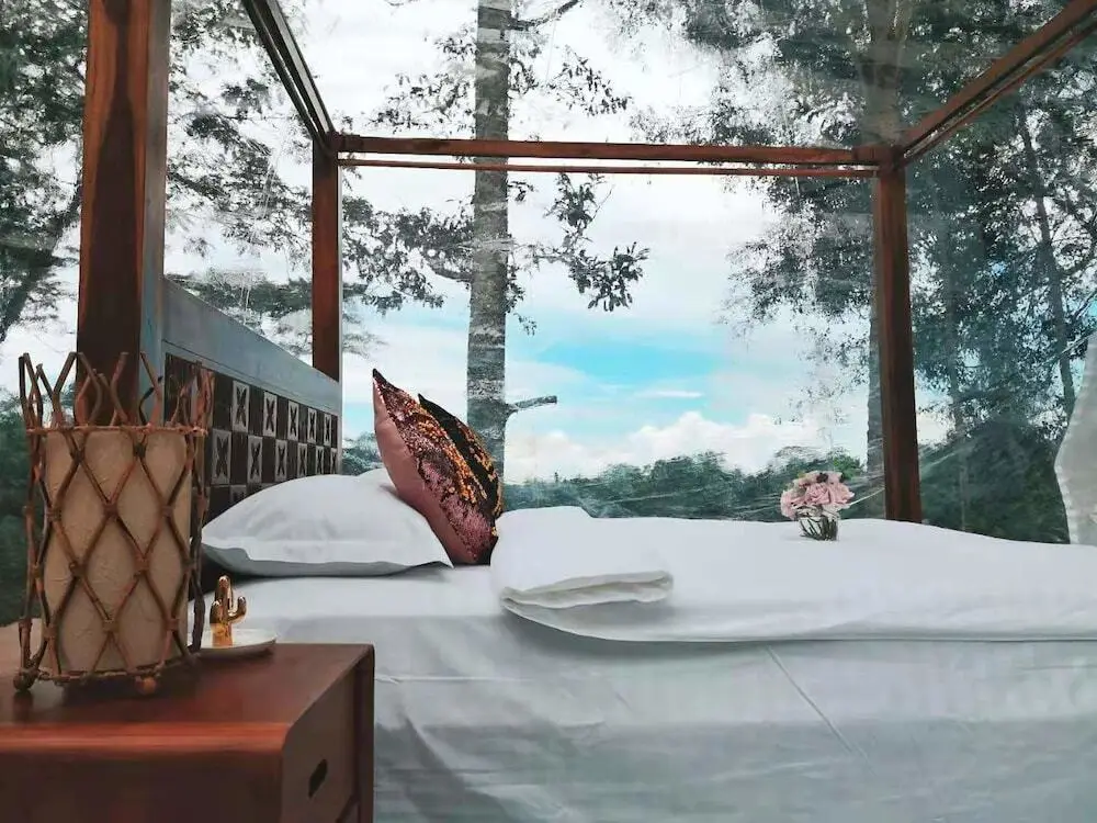 Паянган: Jungle Bubble Lodge Ubud - Campsite