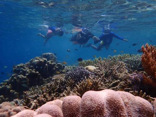 Савандарек: Best Rajaampat Homestay
