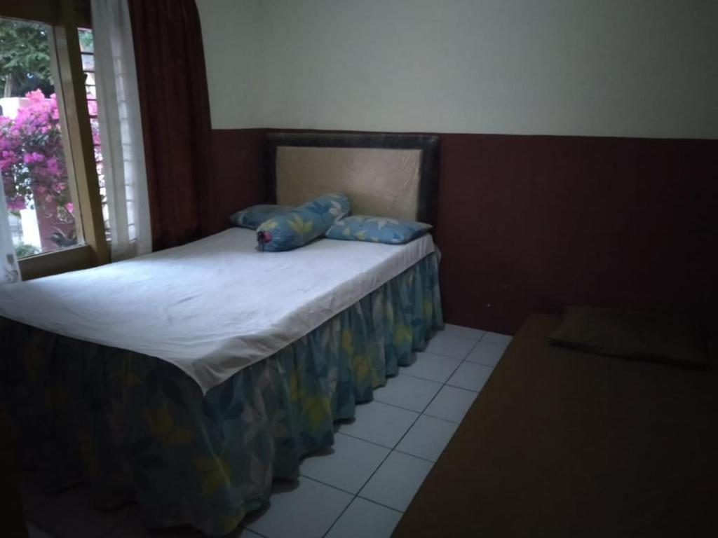 Калипуро: Olivia Homestay