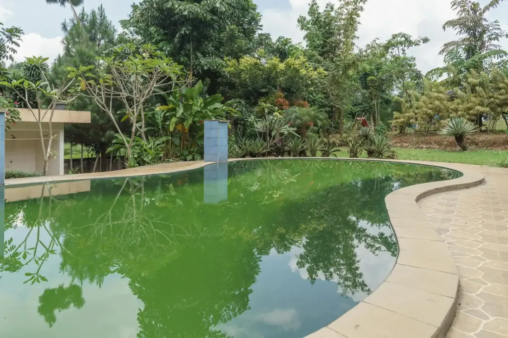 Сукарайя: RedDoorz Plus @ Lodaya Gunung Geulis Puncak