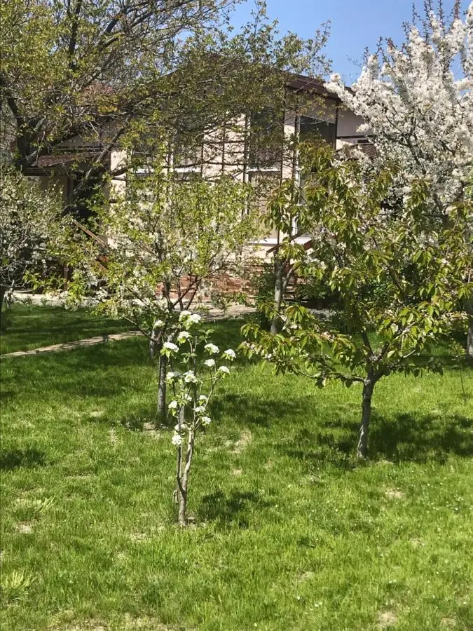 Кабардинка: PATIO