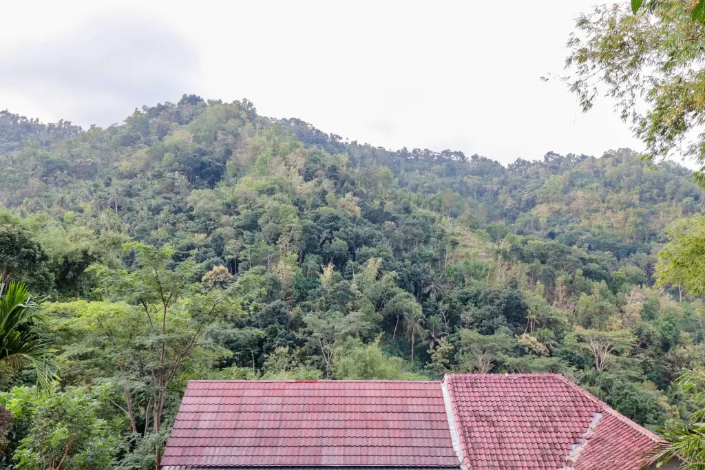 Харговилис: Munggang Homestay