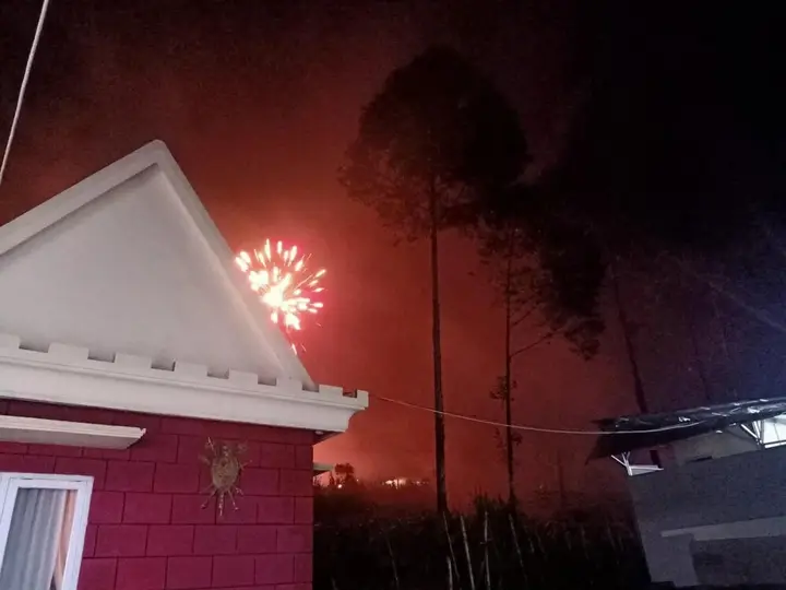 Надисари: Istana Bromo Resort and Resto