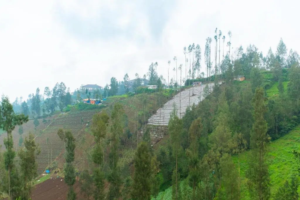 Надисари: OYO 2169 Anugrah Bromo Homestay