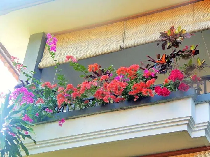 Санур: Studio in Kota Denpasar, with Pool Access, Furnished Terrace And Wifi - 300 M From the Beach