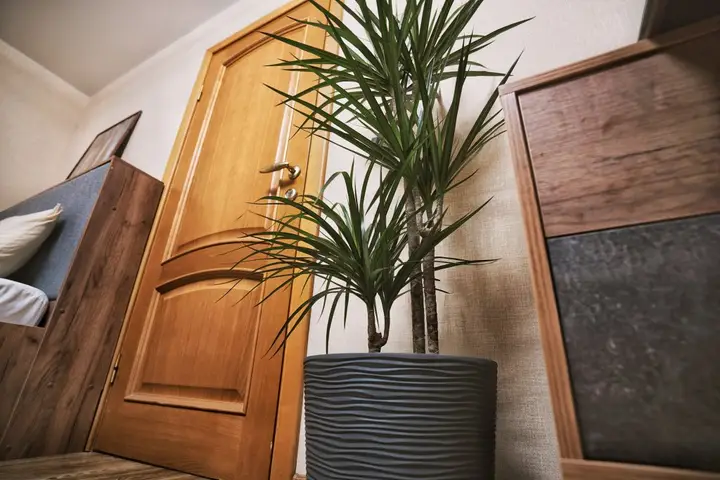 Сочи: Apartments Comfortable Apartment on Lenina St