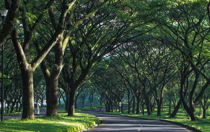 Приген: HAS 73 The Taman Dayu