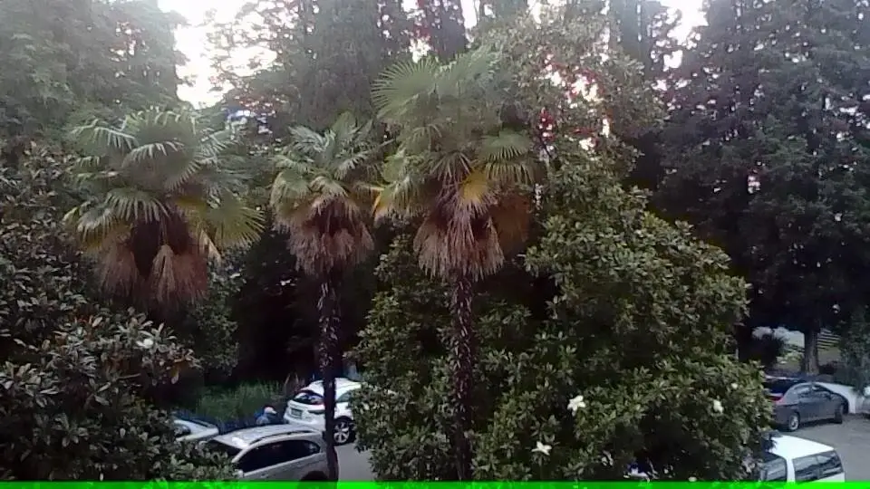 Сочи: Апартаменты Сочи