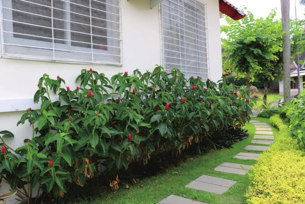 Чипанас: Diyar Villas Puncak M4/12
