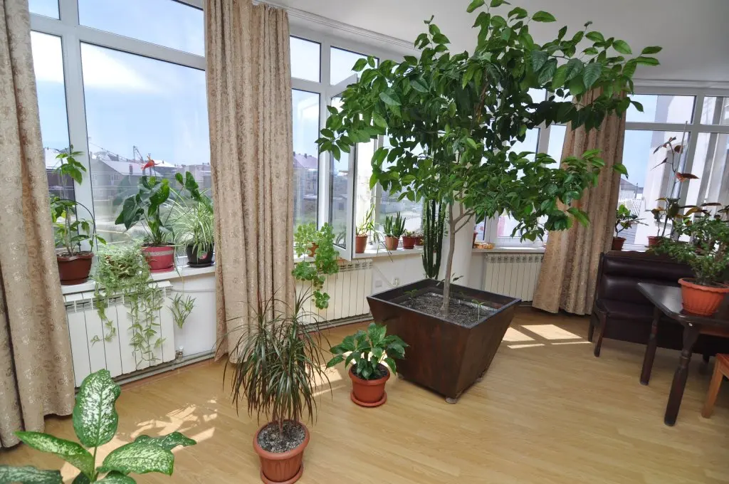 Витязево: Ararat Guest House
