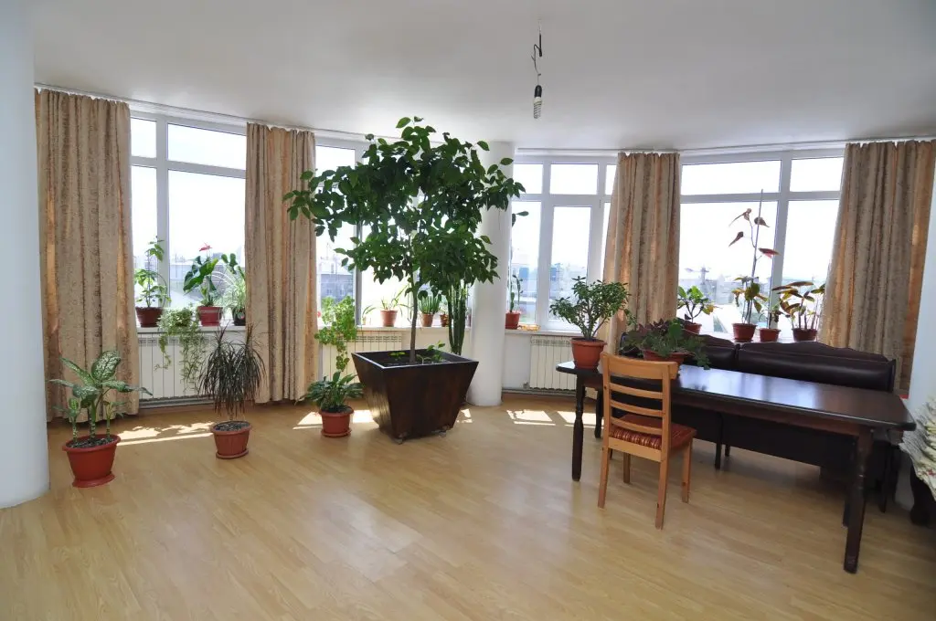 Витязево: Ararat Guest House