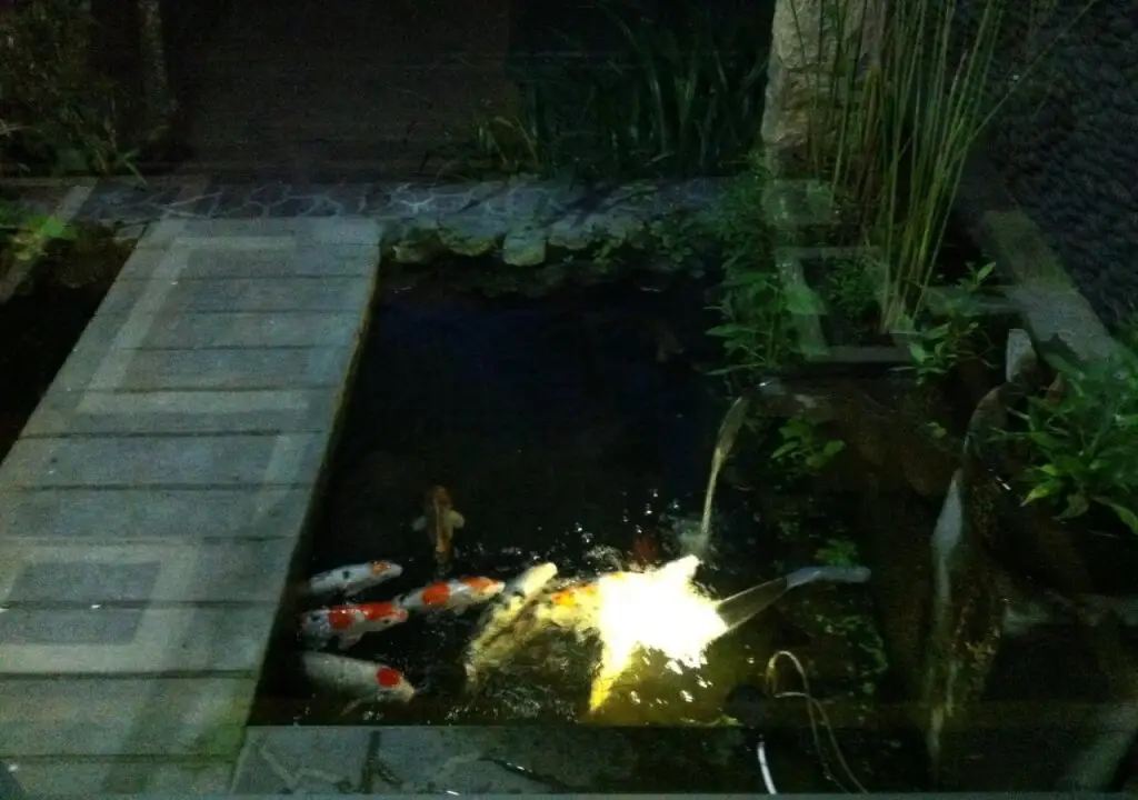 Убуд: Aru House Ubud