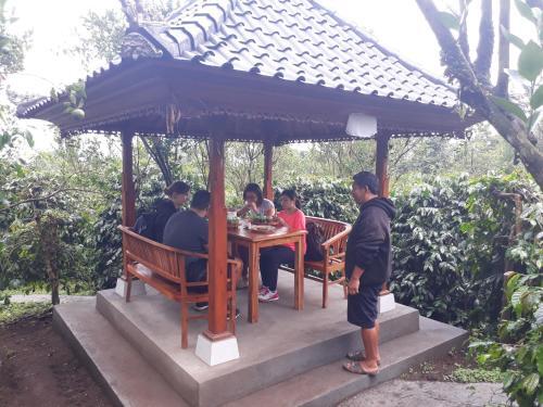 Кинтамани: D'Umah Coffee