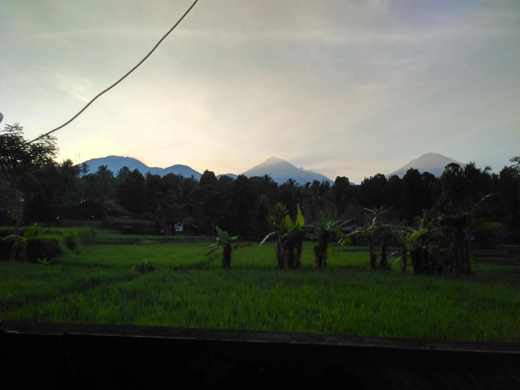 Баньюатис: Yoga Homestay